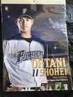 Shohei Ohtani 2018 Wall Calendar Nippon Ham Fighters Unopened Japan Official