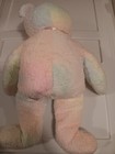 Ty Beanie Baby Buddy  groovy  The Bear