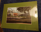 Franklin s Public Square Pictorial History Tennessee Warwick Signed Williamson