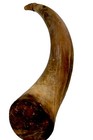 Large Antique Powder Cow Horn 13    Carved 1824 Named A Mark  Dark Patina Early