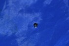 Screw For Latch On Bobbin Case Singer 221 Featherweight Sewing Machine New Part