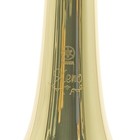 Yamaha Ysl-882  xeno  Professional Tenor Trombone In Lacquer Sn 857209