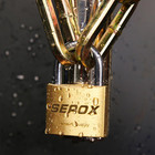 Sepox Brass Padlock With Key Same 2pack 40mm Keyed Alike Padlocks