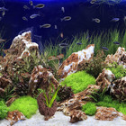 6pcs Aquarium Lava Rock Fish Tank Decorations Natural Stone Hideouts Caves Shrim