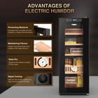 Electric Cigar Humidor Cabinet Cooler Cooling Cedar Wood Shelves 250 Counts