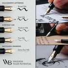Luxury Fountain Pen Set For Writing - Silver Silver Chrome Medium Nib