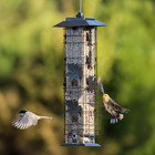 Squirrel Proof Wild Bird Feeder 2 Lb  Weight-activated Perches  Model 336-1sr