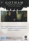 2017 Cryptozoic Gotham Season 2 Base Set Trading Card  55