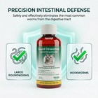 Liquid Dewormer For Cats   Kittens  Pyrantel Pamoate Oral Suspension  Removes Ro