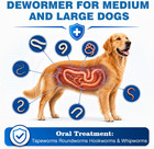De-wormer For Dogs  Oral Treatment Of Tapeworm  Roundworm   Hookworm  Worm Remov