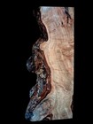 Xl Mind Blowing Spalted Birdseye Maple  Burl Wood Slab  Turning Wood Epoxy Wood 