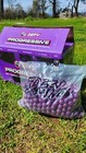 Defy Progressive Paintballs Case 2000 Rds Recreational Paint
