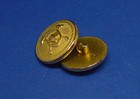 Lauren Ralph Lauren Replacement Buttons 2 Gold Tone Solid Metal Good Used Cond 