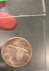 1967 Canada Goose Silver Dollar - Beautiful Toning -centennial Coin  