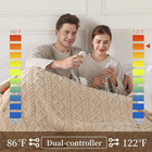 Electric Heated Blanket  3d Pattern Design  Queen Size Sherpa Super Cozy Heated