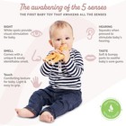 Fanfan The Fawn Teether Natural Rubber Safe Sensory Toy For Teething Babies