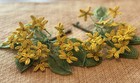 Vntg Artisan French Glass Seed Beaded Flowers 2 Bunches Forsythia Mimosa Yellow