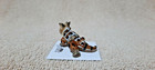 Little Critterz Horned Toad  rip  Miniature Figurine New Free Shipping Lc314