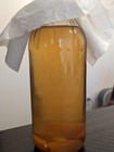 Vinegar Eel Starter Culture -  easy Live Food For Fry  Nano Fish  Guppy  Betta
