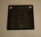 Antique Magic Lantern Slide Renoir Les Parapluies C1910 Photo Of Painting 