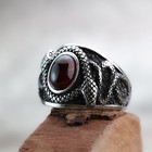 Red Round Stone Inlay Vintage Snake Ring Stainless Steel Men s Biker Punl Ring