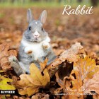 2026 Wall Calendar calendar 2026 monthly Wall Calendar  12  X 24  Rabbit