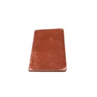 Antique Peoples Dictionary Of The Bible Edwin W  Rice 1896 Christianity Red Book