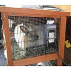 Farm Innovators Heated Water Bottle For Rabbits  20-watt  32oz Capacity