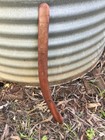 Old Australian Aboriginal Large Carved Hooked Wooden Boomerang Heavy Red Wood