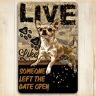 Chihuahua Sign Live Like Someone Left Gate Or Door Open Metal Dog Wall Art Tin