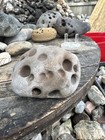 Multi Hole Hag Stone