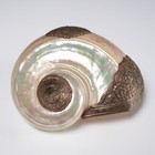 Antique Turbo Marmoratus Decorative Shell Ornate Metal Overlay Iris Apfel Coll