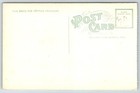 On The Golf Course  Palm Beach  Florida   Postcard