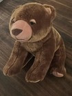 Kohls Cares The World Of Eric Carle 14    Brown Bear Plush Stuffed Animal Toy 2008