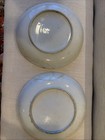 Two 19th-century Chinese Canton Famille Rose Porcelain Plates