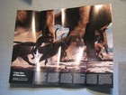 New View Of Dinosaurs    March To Extinction Map National Geographic June 1989