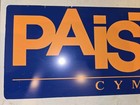 Vintage 90s 2000s Paiste Cymbals Plastic Sign 9 X 20 orange On Blue music drums