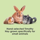 Kaytee Timothy Hay 48oz High Fiber Rabbit Guinea Pig Chinchilla Hay
