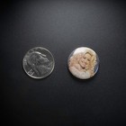 Dolly Parton With A Kitten 1in Pin   70s Country Glamour Kitten Portrait