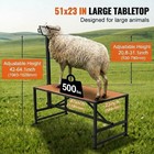 47x23in Goat Milking Stand Heavy Duty Adjustable 21-33in Headpiece Nose Loop Glo