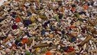 Syrian-hamster Forage Mix - German-style  40  All-natural Ingredients