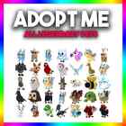 Adopt Today      same Day Delivery    