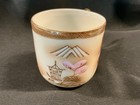 Vintage Hand-painted Porcelain Teacup W asian Landscape Scene