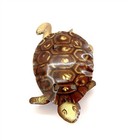 Vintage Tin Litho Tortoise   Turtle Toy On Wheels With Bobbing Head Feet 3  Long