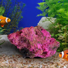 Colored Stones Aquarium Decorative Stones Mineral Specimens Garden Decoration Fo