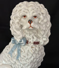 Staffordshire Rare 10  Poodle Dog    1860 