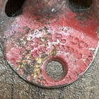 Vintage Coca Cola Starr  x  Wall Mounted Bottle Opener Brown Co Made In Usa