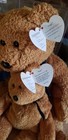 Fuzz The Bear Ty Beanie Baby And Buddy Pair