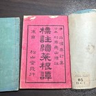 Japanese Bound Chinese Classic Book Set 2 Volumes