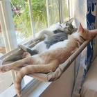 Ultra-soft Cat Window Hanging Bed - Comfortable Cloud-shaped Retreat